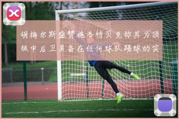 胡梅尔斯盛赞施洛特贝克称其为顶级中后卫具备在任何球队踢球的实力