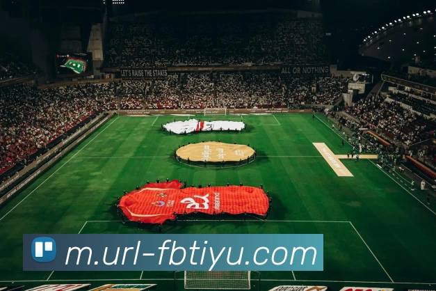 FB体育平台生态图